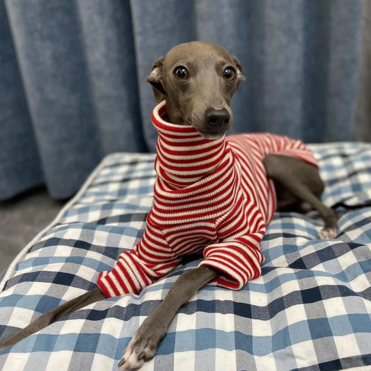 Macacão Para Cachorro Listrado Vermelho E Branco Com Gola Alta