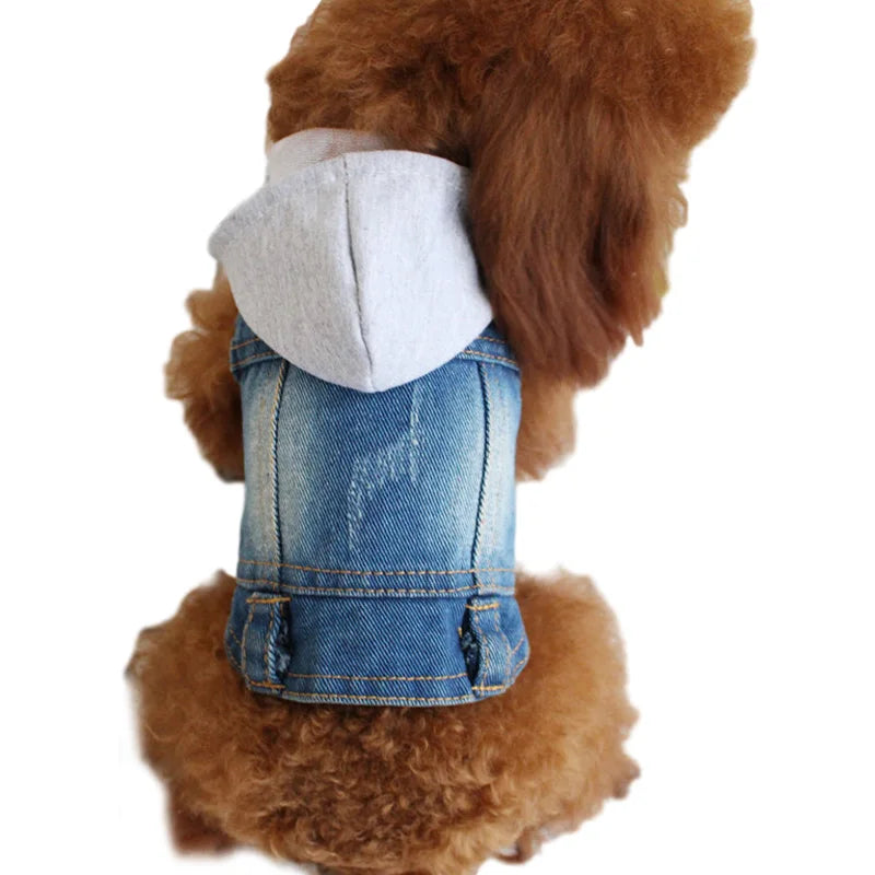 Roupa Jeans Para Cachorro