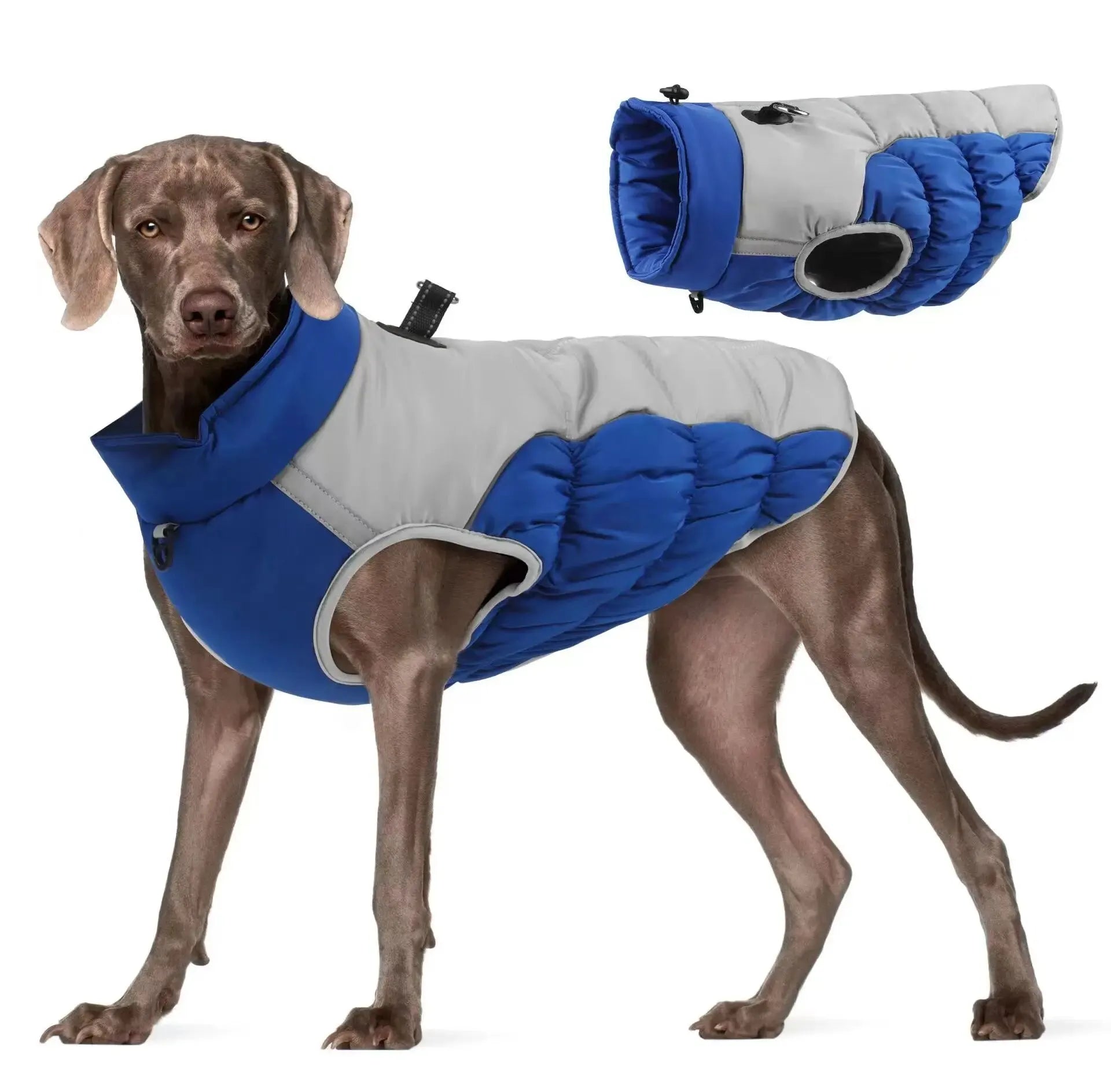 Casaco Para Cachorro Grande Com Suporte - Tita R - ROUPA - 93
