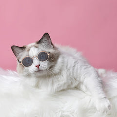 Óculos de Sol Pet Lentes Espelhadas com Proteção UV para Cães e Gatos