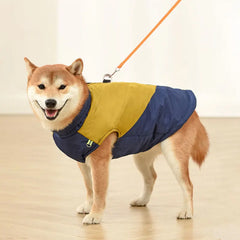 Colete Impermeável e Refletivo para Cães no Frio — Boreal