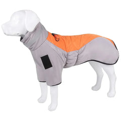 Roupa de Inverno Pet com Design Esportivo e Forro Térmico