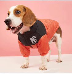 Jaqueta Softshell Pet para Cães e Gatos com Logo NB e Ajuste Anatômico