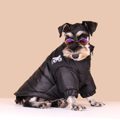 Jaqueta Softshell Pet para Cães e Gatos com Logo NB e Ajuste Anatômico