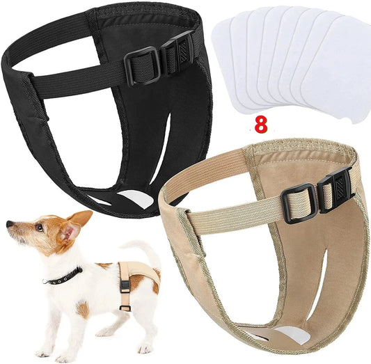 Fraldas Laváveis para Cães A - FRALDA - 01