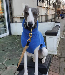 Colete Quente Para Cachorro Galgo