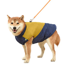 Colete Impermeável e Refletivo para Cães no Frio — Boreal