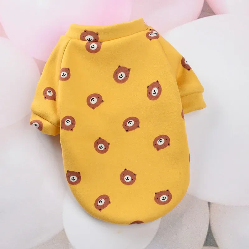 yellow bear