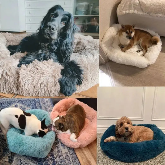 Cama Donut Pet Antiestresse Pelúcia Lavável Diversas Cores