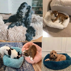 Cama Donut Pet Antiestresse Pelúcia Lavável Diversas Cores