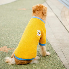Moletom Felpudo Pet com Estilo Inverno