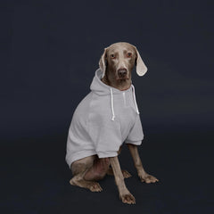 Moletom Casual com Capuz para Cachorro Grande com Bolso Frontal