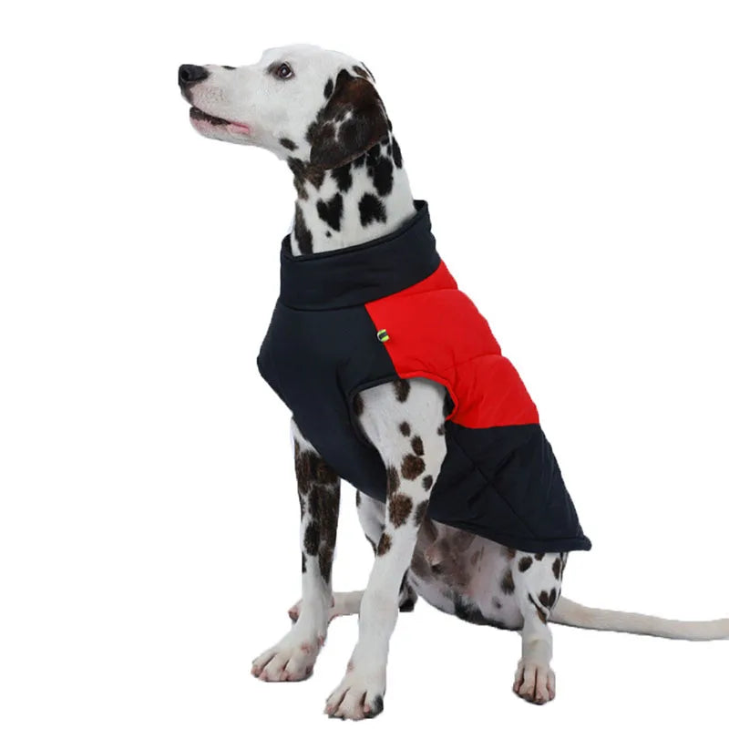 Corta Vento Para Cachorro Com Suporte Para Guia - Finn R - ROUPA - 42