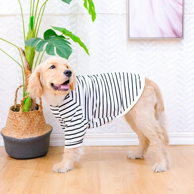 Camiseta Fresca para Cães Grandes DogFresh VERAO - 0133