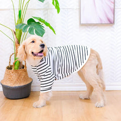 Camiseta Fresca para Cães Grandes DogFresh VERAO - 0133