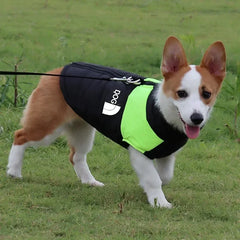 Jaqueta Softshell para Cães Grandes com Design Bicolor e Refletivos