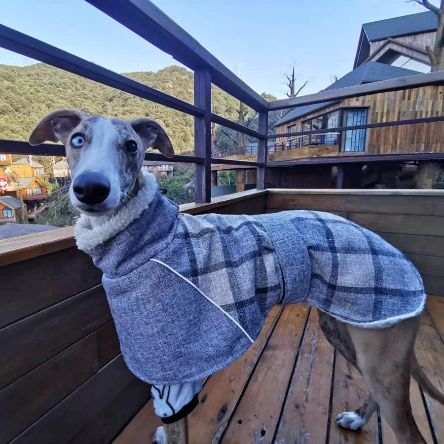 Casaco Refletivo Para Cachorro Galgo - Italy R - ROUPA - 100