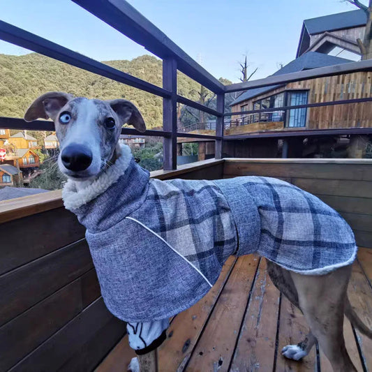 Casaco Refletivo Para Cachorro Galgo - Italy R - ROUPA - 100