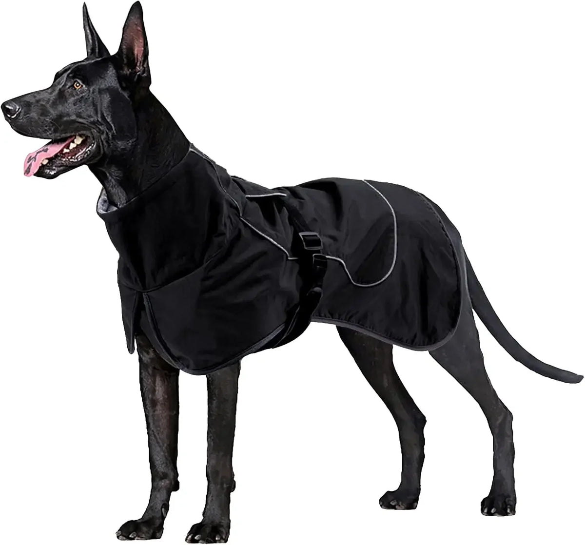 Roupa para Cachorro com Proteção Contra Chuva, Vento e Neve
