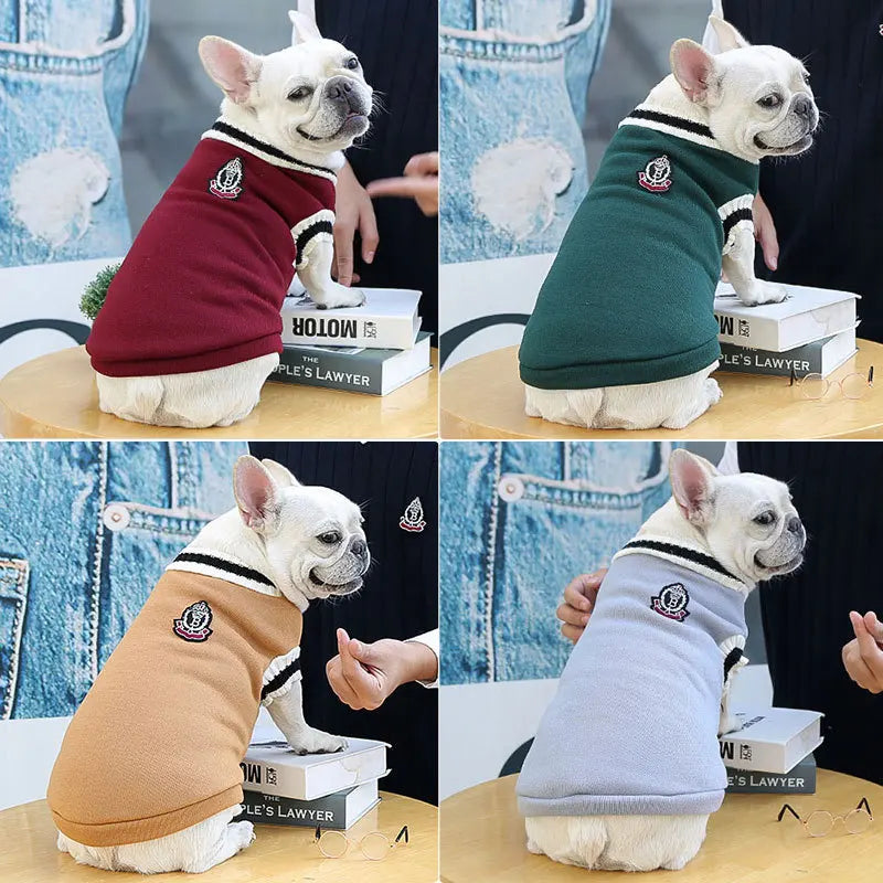 Moletom Universitário Para Pet R - ROUPA - 74