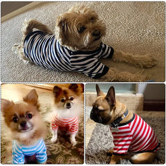 Camiseta Fresca para Cães VerãoLuna LN334 VERAO - 06