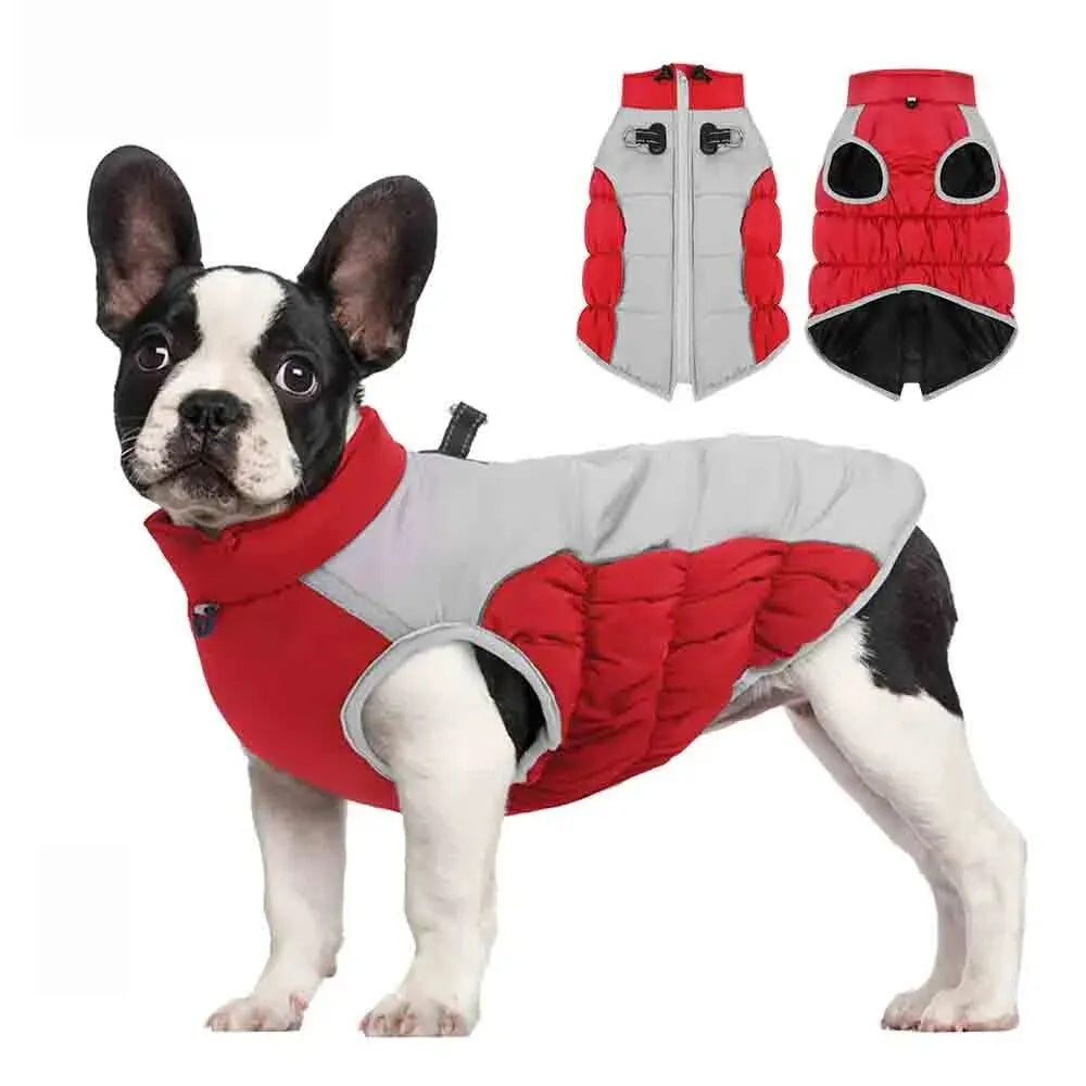 Casaco Para Cachorro Grande Com Suporte - Tita R - ROUPA - 93