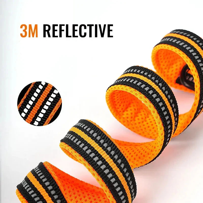 Guia Multifuncional para Cachorros Luna LN456 C - COLEIRA -11