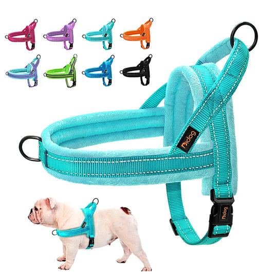 Guia Macia para Cachorros Grandes e Pequeno PawGlam C - PEITORAL - O3