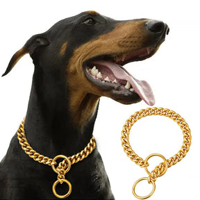 Colar Dourado para Cachorro - GlamPet