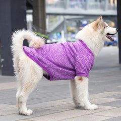 Roupa Pet com Visual Elegante e Quentinho – Tecido Respirável