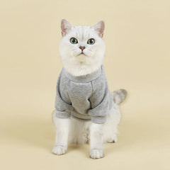 Camiseta Para Gatos Em Algodão Cores Sólidas E Caimento Leve