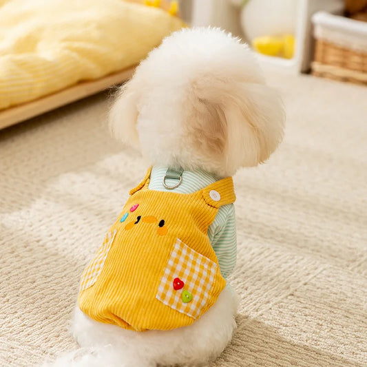 Roupa Pet Estilo Jardineira Colorida com Detalhes em Patchwork Fofo