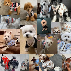Suéter de Inverno para Cães Pequenos - Winter Chic R - ROUPA - 109
