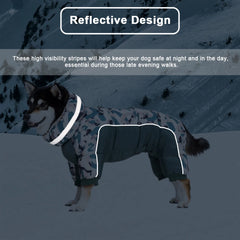 Roupinha Estilo Bomber para Pet com Design Casual