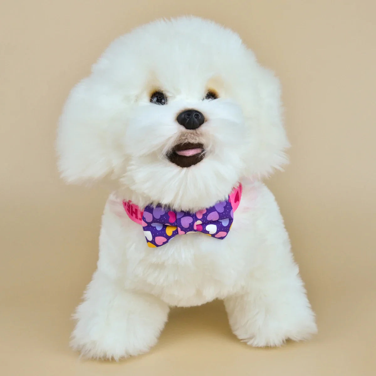 Coleira Com Laço Para Cães e Gatos - Suki C - COLEIRA - 02