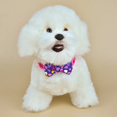 Coleira Com Laço Para Cães e Gatos - Suki C - COLEIRA - 02