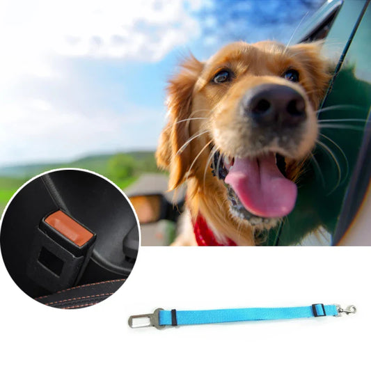 Cinto de Segurança para Cachorro C - CINTO - 01