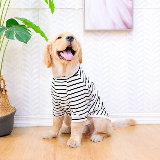 Camiseta Fresca para Cães Grandes DogFresh VERAO - 0133