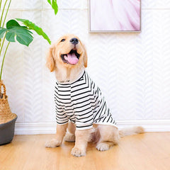 Camiseta Fresca para Cães Grandes DogFresh VERAO - 0133