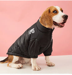 Jaqueta Softshell Pet para Cães e Gatos com Logo NB e Ajuste Anatômico