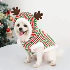 Fantasia de Natal para Cães Pequenos — Casaco Rena e Noel