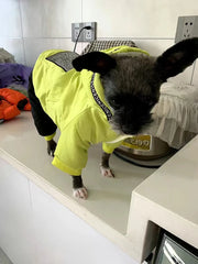 Macacão Para Cachorro Verde Neon Com Capuz E Detalhe Refletivo