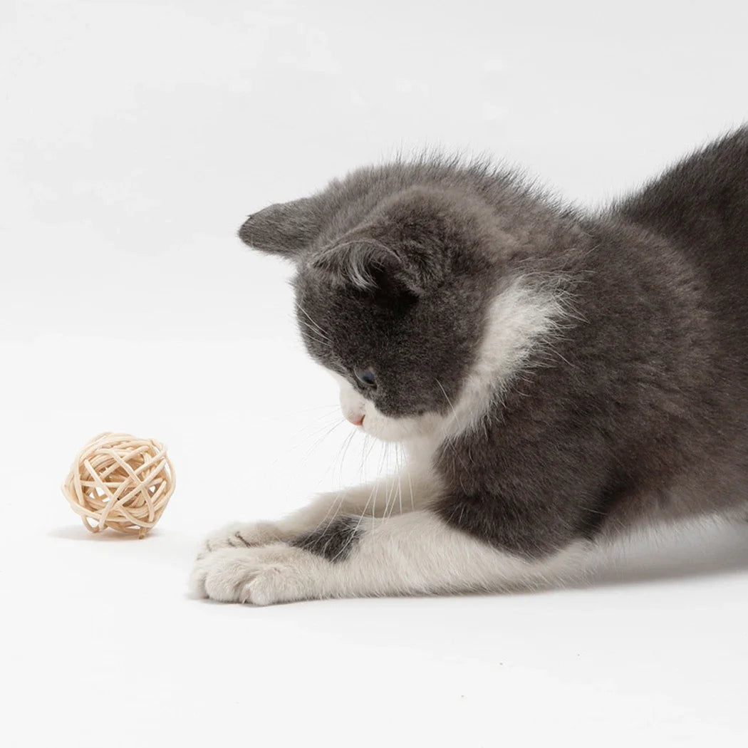 Brinquedo de Gato com Sino e Pena