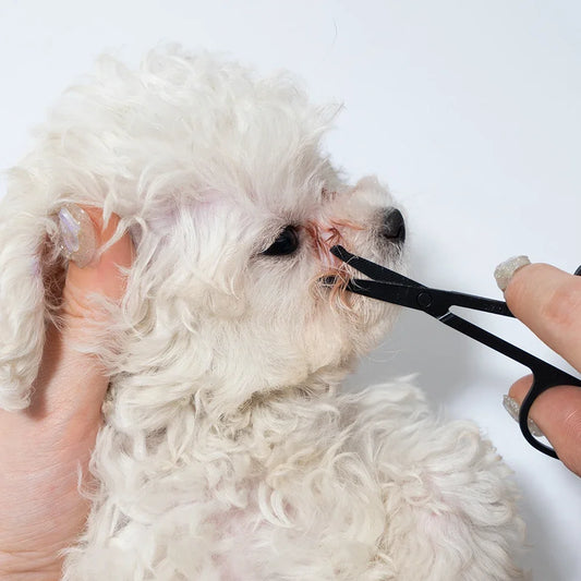 Kit de Higiene Facial para Cães e Gatos