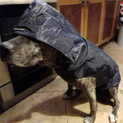 Macacão de Chuva Pet Full Body com Costuras Seladas e Capuz Ajustável