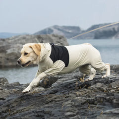 Macacão de Chuva para Cães Full Body com Faixas Refletivas