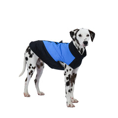 Colete Impermeável e Refletivo para Cães no Frio — Boreal