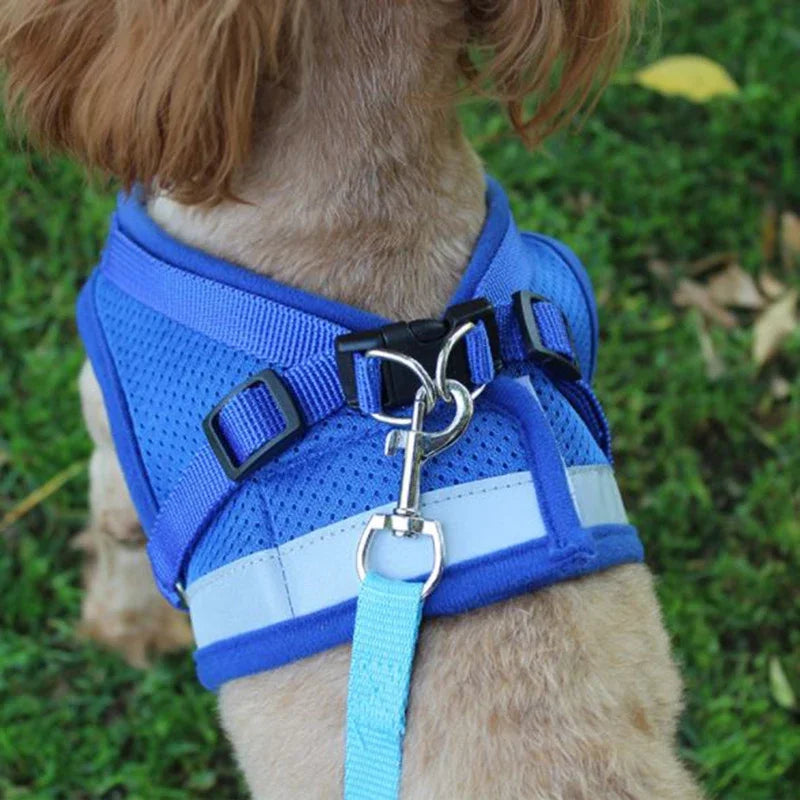 Guia com Peitoral Respirável para Cachorro