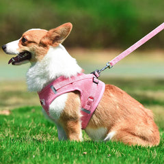Peitoral Respirável Com Guia Para Cachorro C - PEITORAL - 06