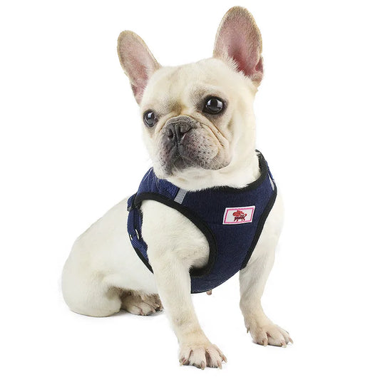 Peitoral Respirável Com Guia Para Cachorro C - PEITORAL - 06